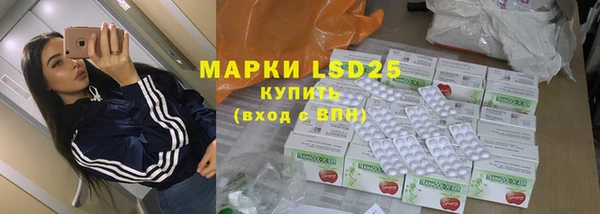 прущие грибы Богородск