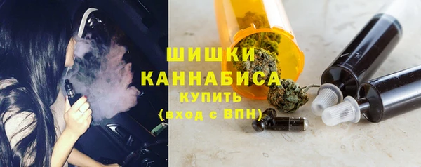 спайс Богданович