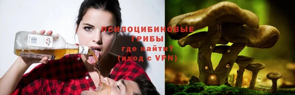 прущие грибы Богородск