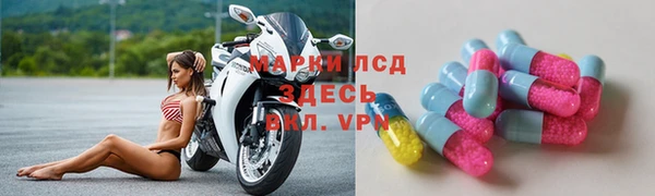 прущие грибы Богородск