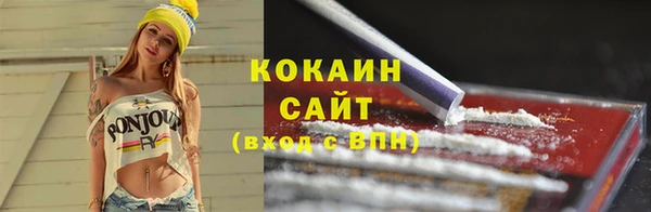 прущие грибы Богородск