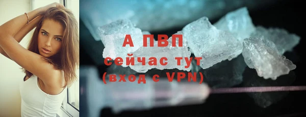 спайс Богданович