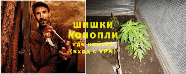 спайс Богданович