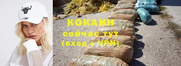 спайс Богданович