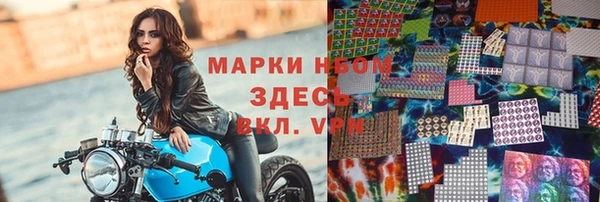 прущие грибы Богородск