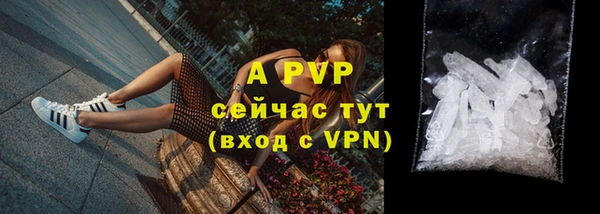 спайс Богданович